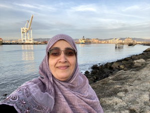 A selfie of Noor Hezam, a woman with transitional glasses in a purple head scarf standing in front of a bay.