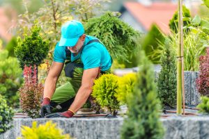 A hardworking gardener is carefully tending to various plants in a beautifully arranged garden under a clear sky. The setting is vibrant and lush.